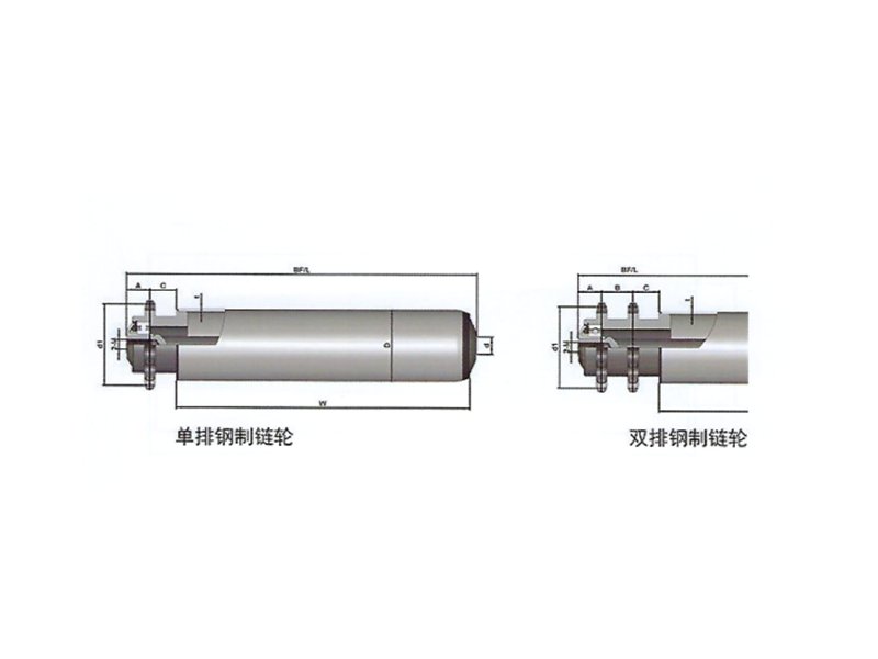 中負荷鋼制單/雙鏈輸送輥筒