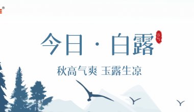 ┠青島固德┨仲秋微涼，白露為霜~